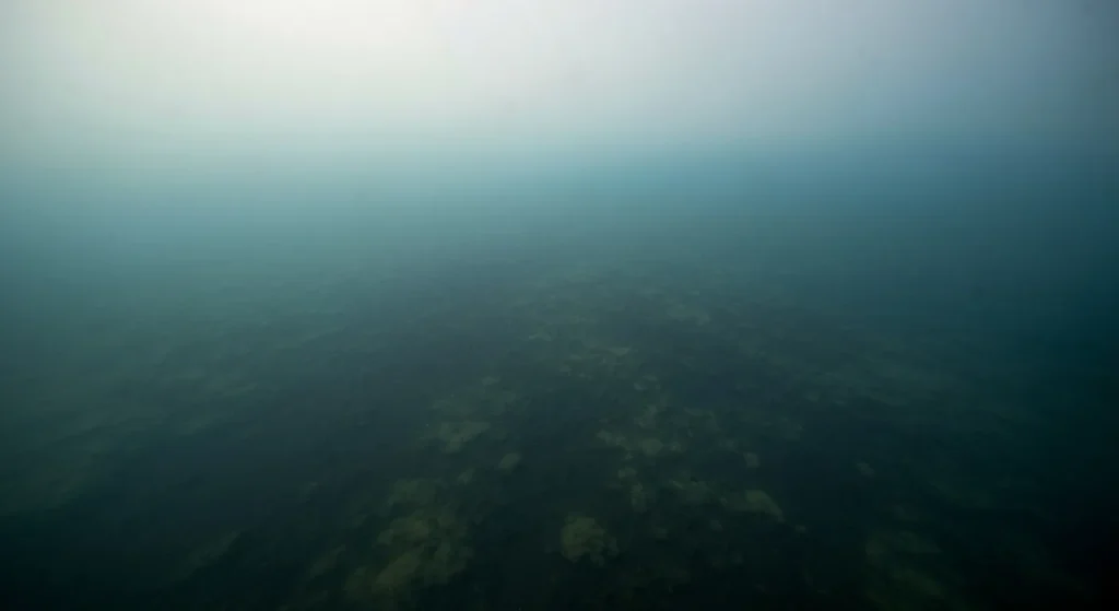 O zonă extinsă din ocean, lipsită de oxigen și viață marină, cu apă tulbure și întunecată.