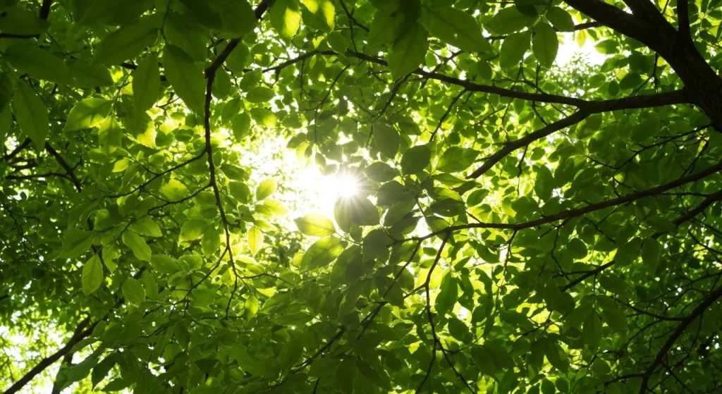 Frunze verzi ale unui copac, iluminate de razele soarelui.